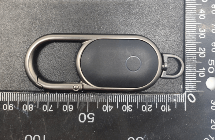 oval-shaped dog buckle