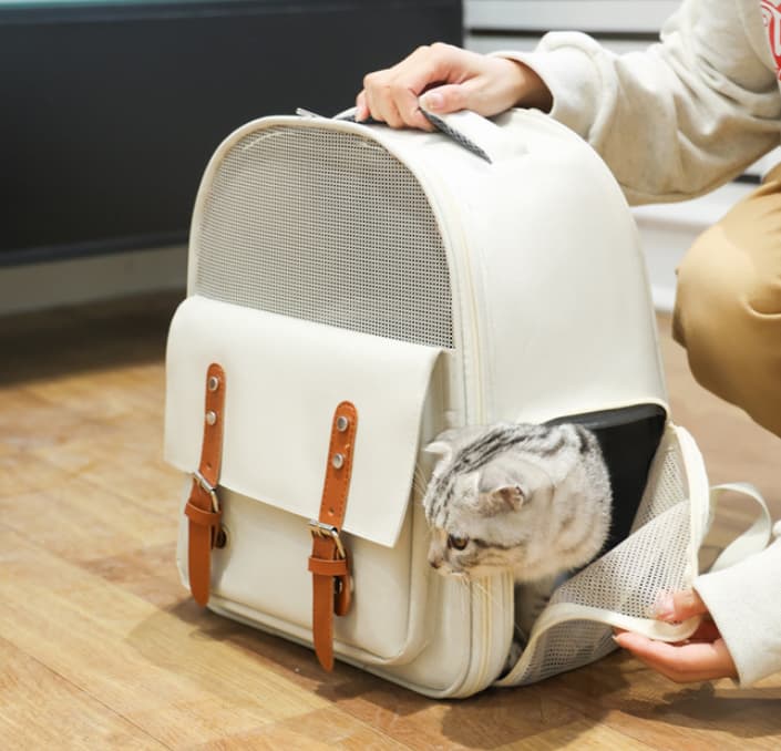 pet bag